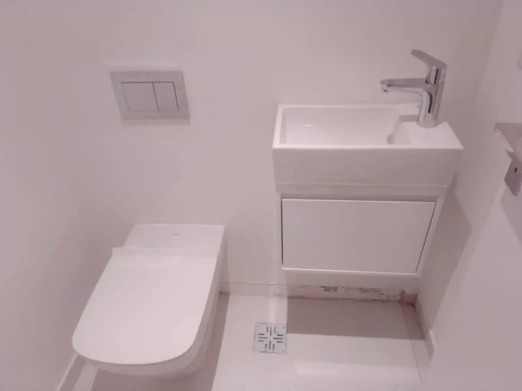 Toilette: Vanitory, inodoro y descarga embutida